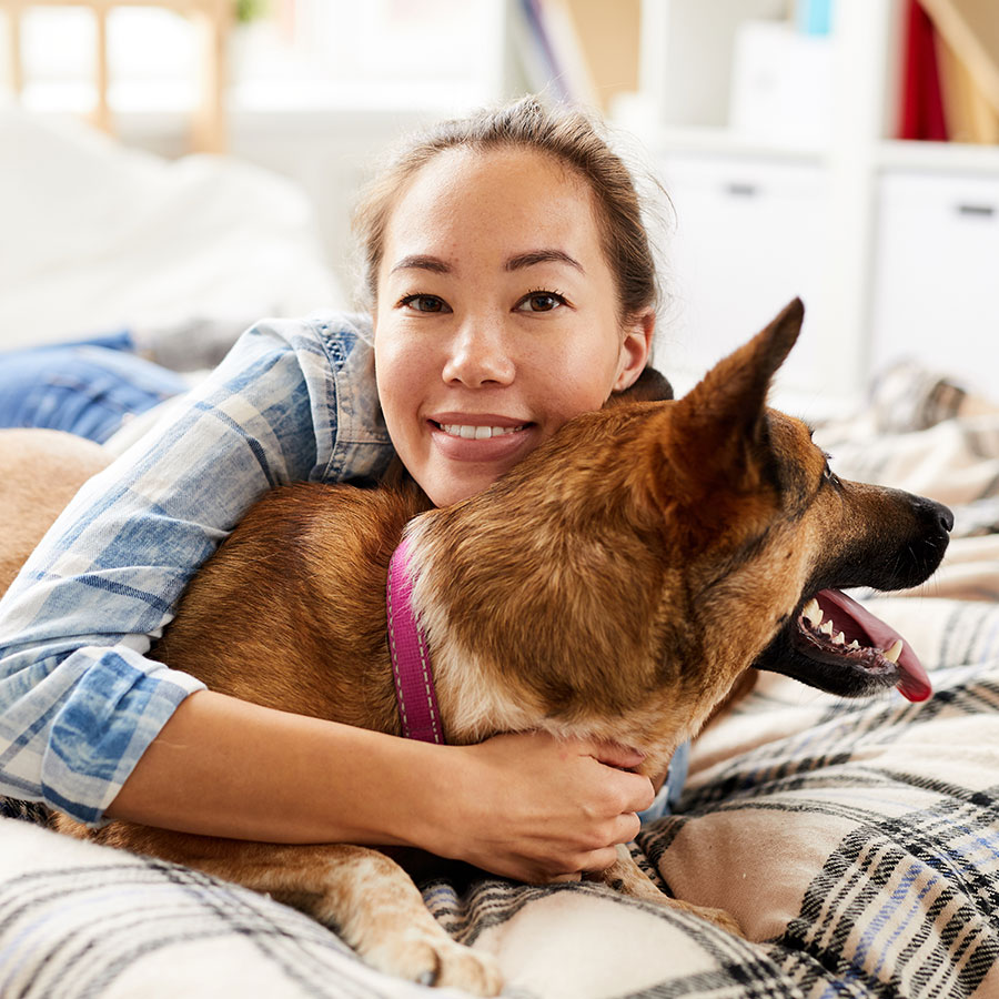 Heartwarming Pet Adoption Journeys That Inspire