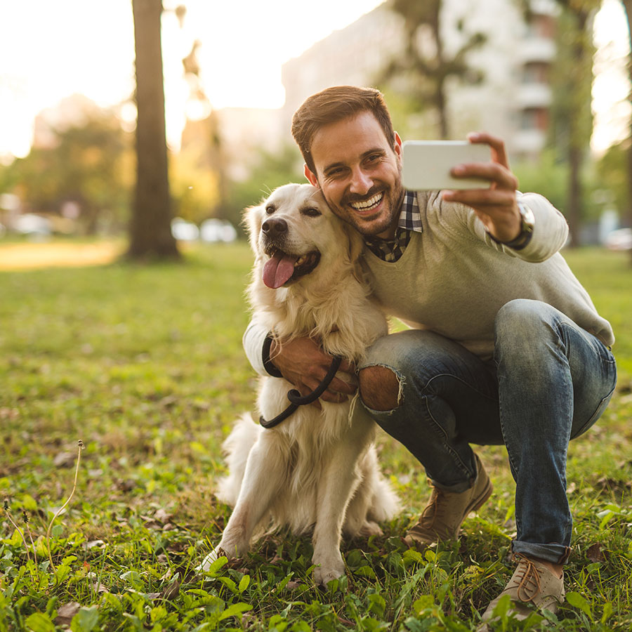 Mastering Obedience: Effective Training Methods for Pets