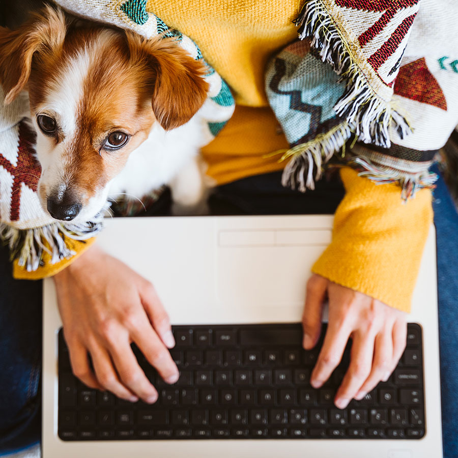 Grooming Hacks: Keeping Your Pets Fresh and Fluffy